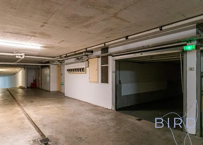 Spacious Pool And Parking Daire